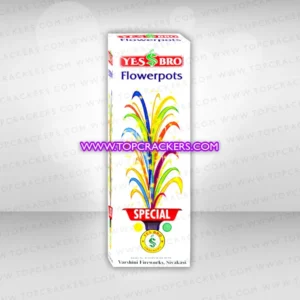 flower-special-prime