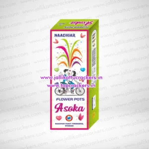 Flower Pot Asoka